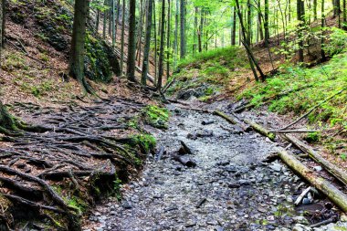 Slovak Paradise Ulusal Parkı, Slovakya
