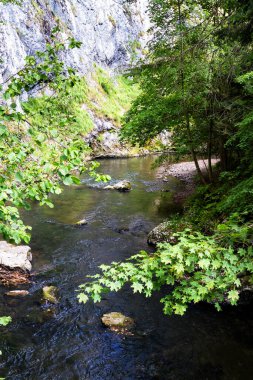 Slovak Paradise Ulusal Parkı, Slovakya