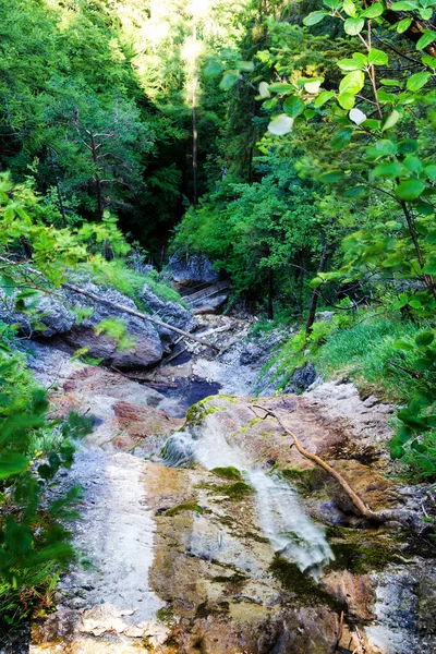 Parque Nacional Del Paraíso Eslovaco Eslovaquia — Foto de Stock