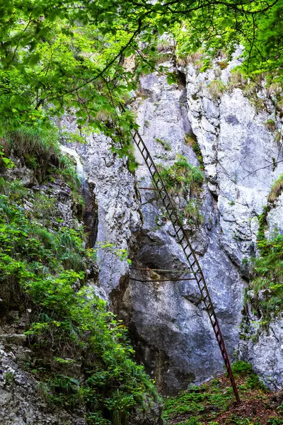 Szlovák Paradicsom Nemzeti Park Szlovákia — Stock Fotó