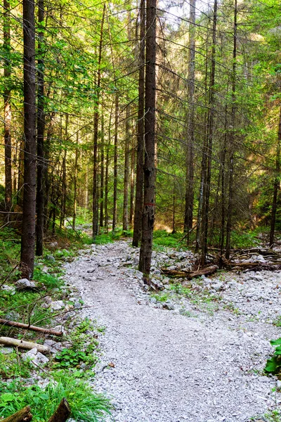 Parc National Slovaque Paradise Slovaquie — Photo