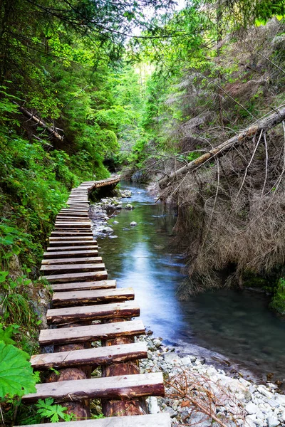 Národní Park Slovenský Ráj Slovensko — Stock fotografie