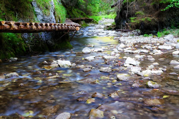 Slovak Paradise National Park Slovakia — Stock Photo, Image