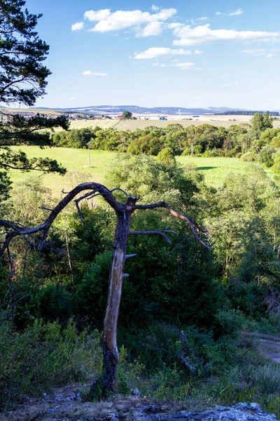 Szlovák Paradicsom Nyári Hegyi Panoráma Hrabusice Város — Stock Fotó