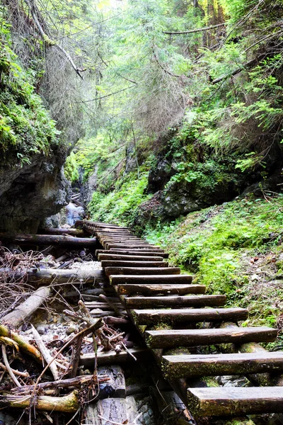 Σλοβακική Paradise National Park Σλοβακία — Φωτογραφία Αρχείου