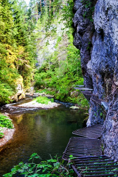 Prielom Hornadu Hornad Gorge Slovensky Raj Slovak Paradise Eslováquia Cárpatos — Fotografia de Stock