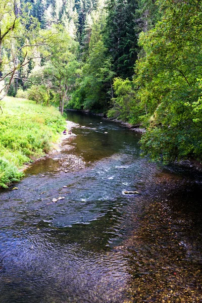 Národní Park Slovenský Ráj Slovensko — Stock fotografie