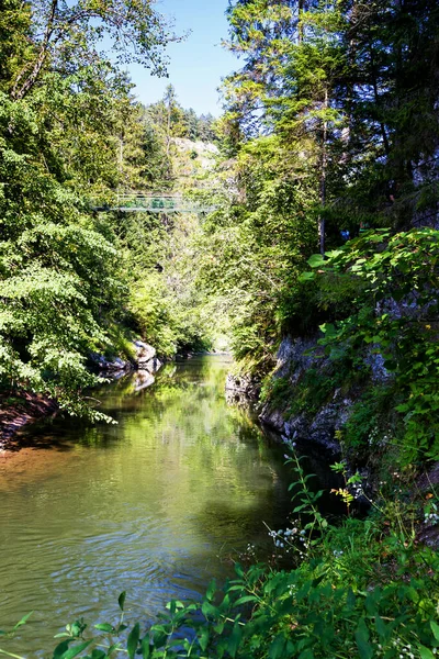 Prielom Hornadu Hornad Gorge Slovensky Raj Slovak Paradise Eslováquia Cárpatos — Fotografia de Stock