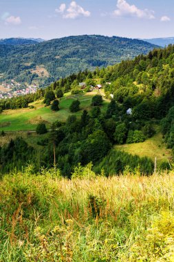 Rysianka, Beskid Zywiecki, Polonya 'ya giden yolu izle