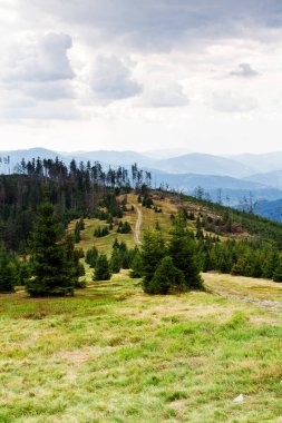 Rysianka, Beskid Zywiecki, Polonya 'ya giden yolu izle