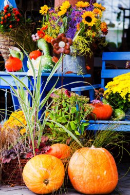 Çiçekler ve balkabaklarıyla bahçe kompozisyonu