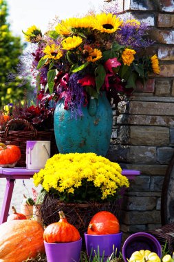 Çiçekler ve balkabaklarıyla bahçe kompozisyonu