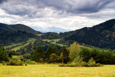 Polonya, Pieniny 'de Sonbahar