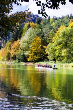 Pieniny 'deki Üç Crowns Sokolica güzergahı. Polonya