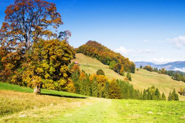 Polonya, Pieniny 'de Sonbahar