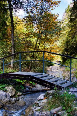 Polonya 'daki Pieniny Ulusal Parkı' nda Homole Vadisi