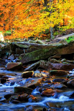 Çevresinde yeşil doğa olan Dağ Akıntısı