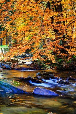 Çevresinde yeşil doğa olan Dağ Akıntısı