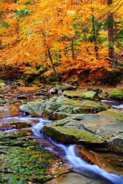 Çevresinde yeşil doğa olan Dağ Akıntısı