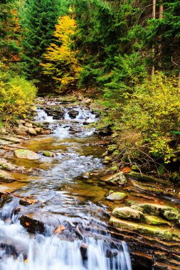 Çevresinde yeşil doğa olan Dağ Akıntısı