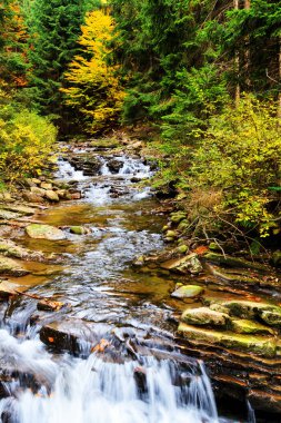 Çevresinde yeşil doğa olan Dağ Akıntısı
