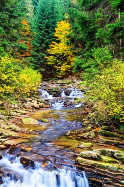 Çevresinde yeşil doğa olan Dağ Akıntısı