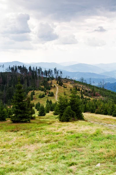 Blick Von Einem Wanderweg Auf Rysianka Beskid Zywiecki Polen — Stockfoto