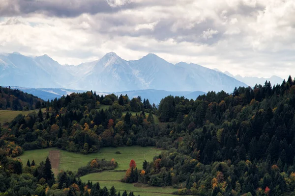 Automne Pieniny Pologne — Photo