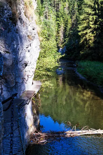 Prielom Hornadu Garganta Hornad Slovensky Raj Slovak Paradise Eslovaquia Cárpatos — Foto de Stock