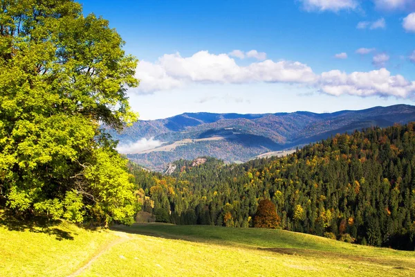 Φθινόπωρο Στο Pieniny Πολωνία — Φωτογραφία Αρχείου