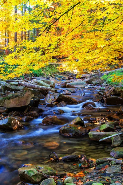 Bergbeek Met Groene Natuur Eromheen — Stockfoto