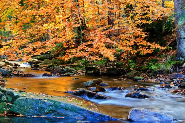 Mountain Stream Green Nature — Stock Photo, Image