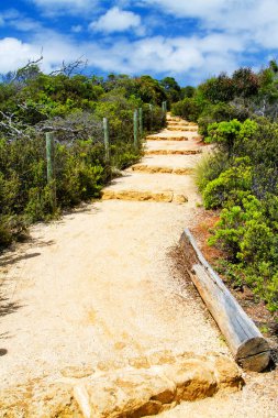 Avustralya 'daki milli parkta yol