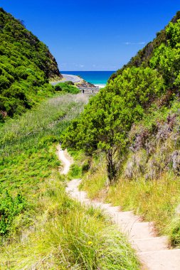 Avustralya 'daki milli parkta yol