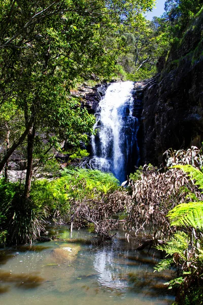 Vodopád Lese Zeleným Listím Horách — Stock fotografie