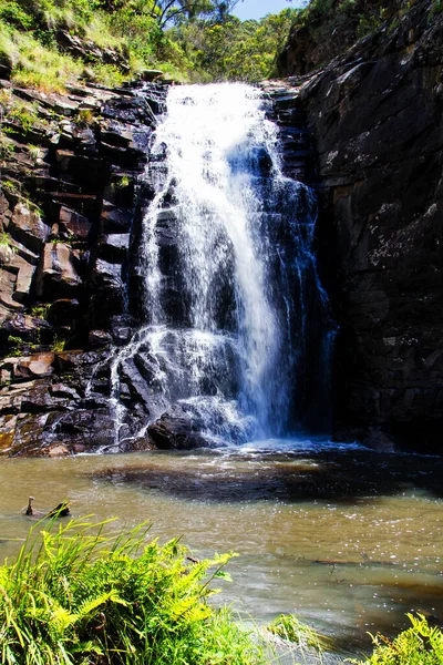 Cascada Bosque Con Follaje Verde Las Montañas — Foto de Stock