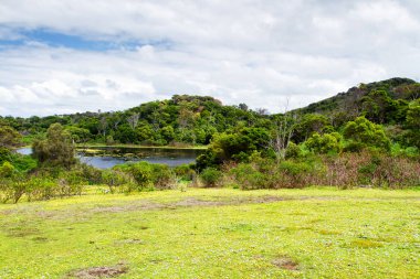 Victoria, Avustralya 'daki Tower Hill State Game Reserve' de küçük bir kraterin dibinde.