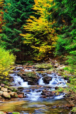 Çevresinde yeşil doğa olan Dağ Akıntısı