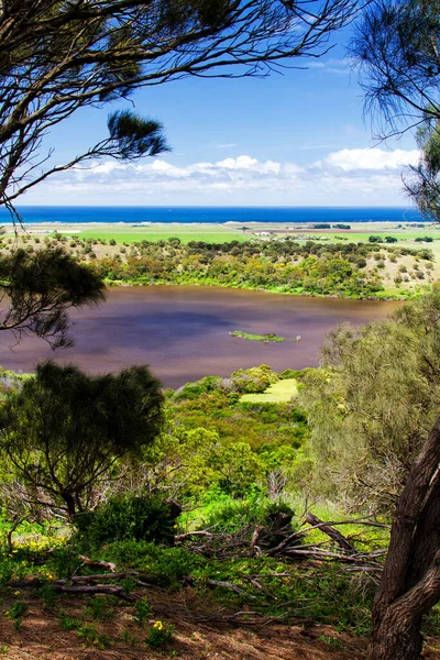 Estanque Fondo Pequeño Cráter Tower Hill State Game Reserve Victoria — Foto de Stock