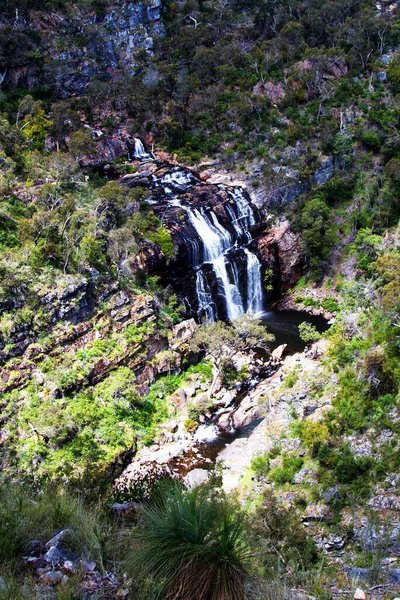 Mckenzie Falls Εθνικό Πάρκο Παππούς Αυστραλία — Φωτογραφία Αρχείου