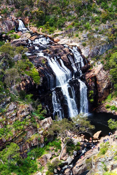 Mckenzie Falls Εθνικό Πάρκο Παππούς Αυστραλία — Φωτογραφία Αρχείου
