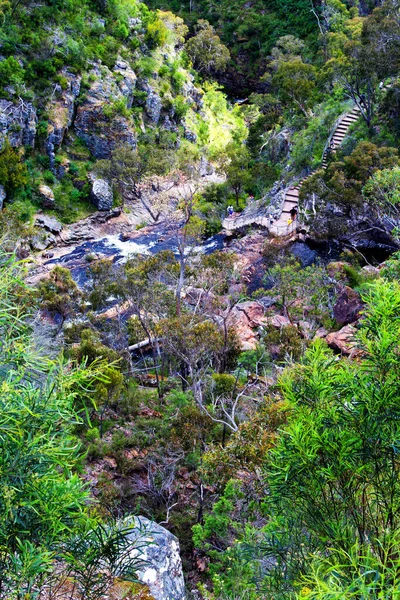 Νερό Που Ρέει Στο Natinal Park Victoria Αυστραλία — Φωτογραφία Αρχείου