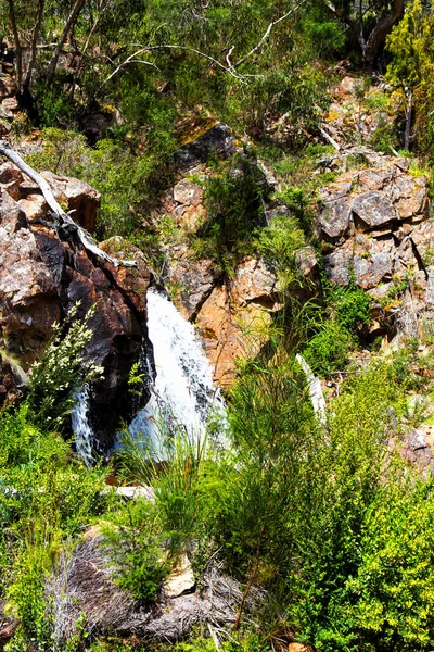 Mckenzie Falls Grampians National Park Australien - Stock-foto