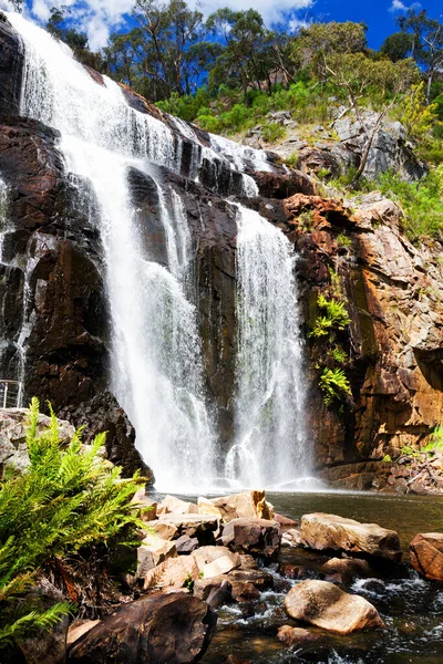 Mckenzie Falls Εθνικό Πάρκο Παππούς Αυστραλία — Φωτογραφία Αρχείου