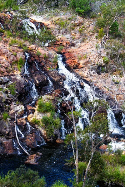 Mckenzie Falls Nagypapi Nemzeti Park Ausztrália — Stock Fotó