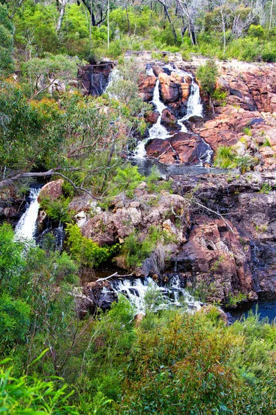 Mckenzie Falls Εθνικό Πάρκο Παππούς Αυστραλία — Φωτογραφία Αρχείου