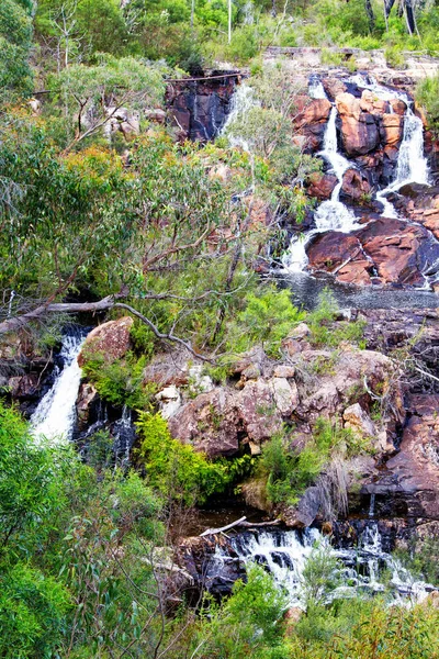 Mckenzie Falls Εθνικό Πάρκο Παππούς Αυστραλία — Φωτογραφία Αρχείου