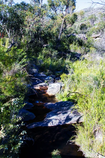 Stromend Water Grampians Natinal Park Victoria Australië — Stockfoto