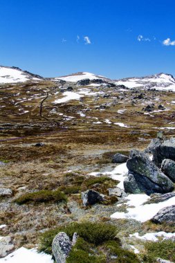 Avustralya 'nın Yeni Güney Galler bölgesindeki Karlı Dağlar' daki Kosciuszko Dağı 'na giden yürüyüş pisti. Kosciuszko Ulusal Parkı.