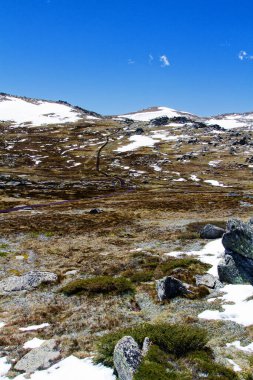Avustralya 'nın Yeni Güney Galler bölgesindeki Karlı Dağlar' daki Kosciuszko Dağı 'na giden yürüyüş pisti. Kosciuszko Ulusal Parkı.